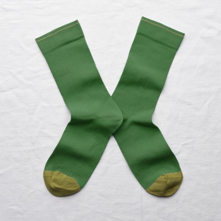 Socks Fern